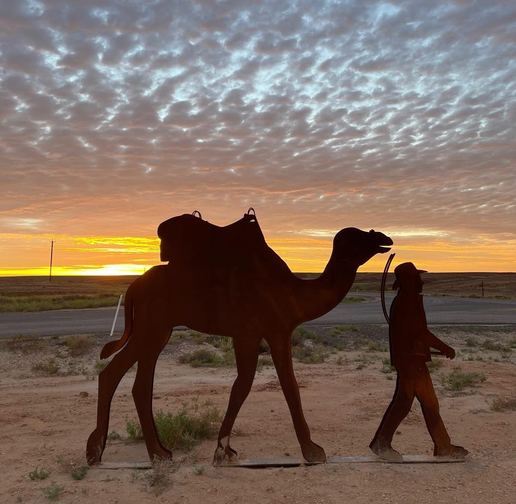 Innamincka Camel statue art simpson desert tour